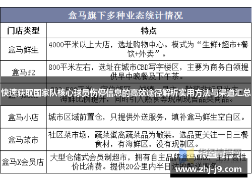 快速获取国家队核心球员伤停信息的高效途径解析实用方法与渠道汇总 快速获取国家队核心球员伤停信息的高效途径解析实用方法与渠道汇总